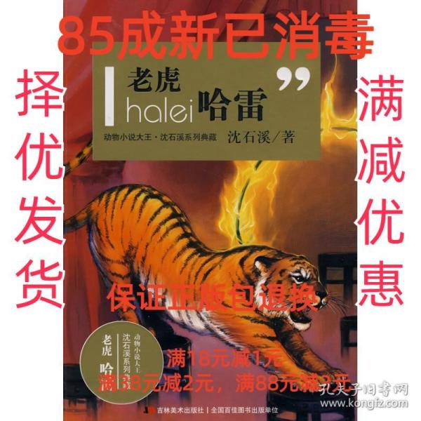 醉虎最新小說揭秘，未知世界的魅力與奇幻探索