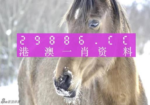 澳門一肖一碼100‰,靈活解析執(zhí)行_冒險(xiǎn)款82.89