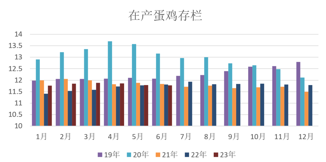 最新雞蛋市場走勢分析