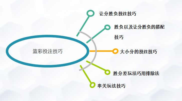 2024新澳免費資料彩迷信封,數(shù)據(jù)導(dǎo)向計劃設(shè)計_Holo12.546