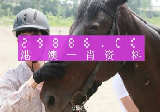 今晚澳門最準(zhǔn)一肖一碼,可靠解答解釋定義_L版32.924