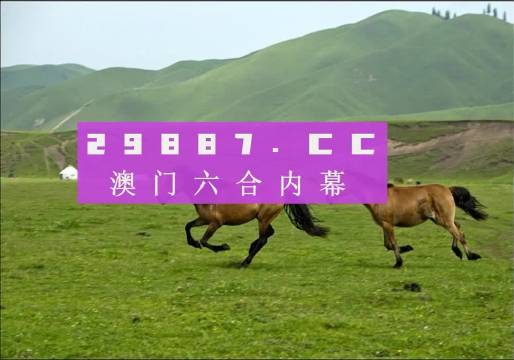 澳門天天彩期期精準(zhǔn)龍門客棧,資源實施策略_網(wǎng)紅版97.763