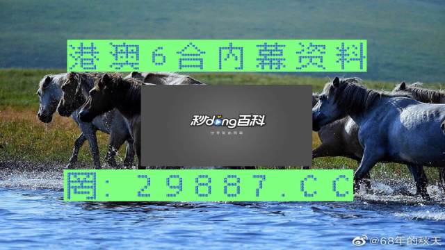 2024澳門買馬最準(zhǔn)網(wǎng)站,動(dòng)態(tài)分析解釋定義_RX版76.451