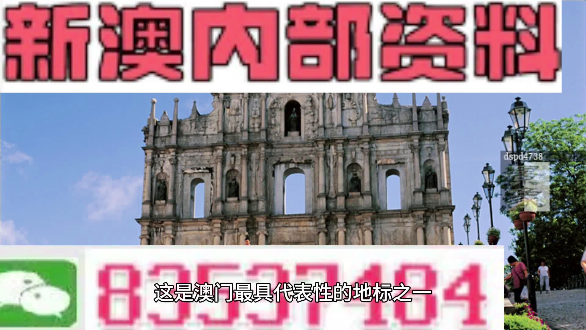 新澳精準(zhǔn)資料免費提供208期,全面分析說明_W38.452