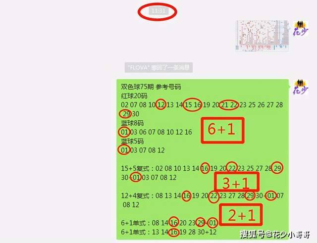 白小姐今晚特馬期期準(zhǔn)六,可靠解析評估_精裝版77.531