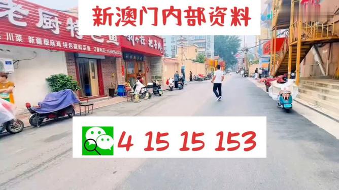 2024澳門天天開好彩大全正版,系統(tǒng)化策略探討_工具版20.914