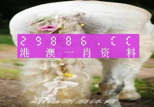 今晚一肖一碼澳門一肖四不像,高效設(shè)計(jì)策略_XE版48.779