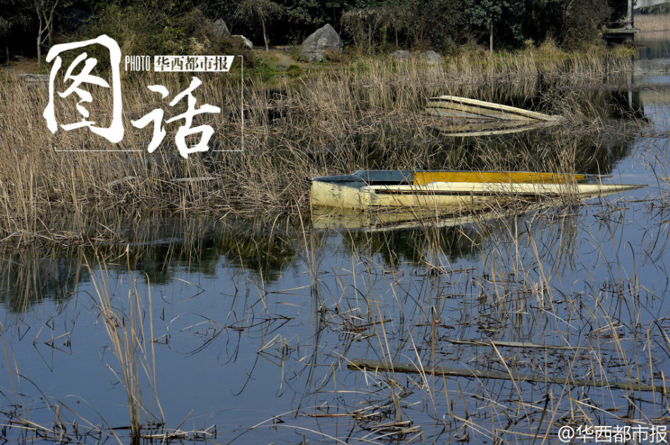 成都北湖公園全新風(fēng)貌與活動火爆盛況