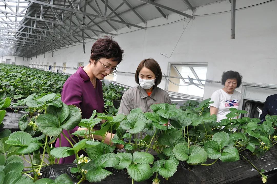 五大連池市人力資源和社會保障局領(lǐng)導(dǎo)團(tuán)隊最新概況概覽