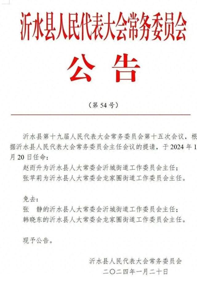 臨沂市外事辦公室人事任命揭曉，新篇章啟幕